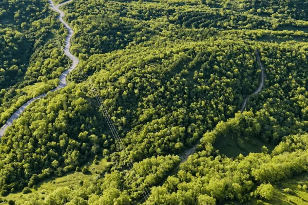 Fotoğraf 27
