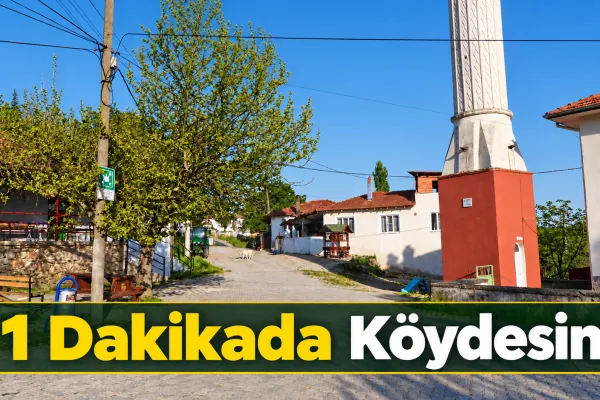 Fotoğraf 28