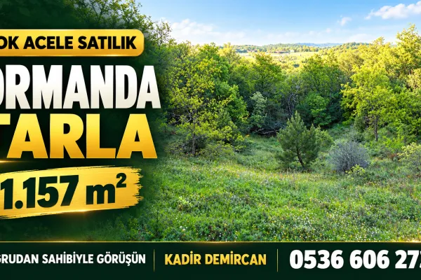 Fotoğraf 29