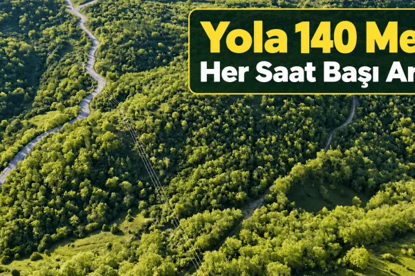 Fotoğraf 30