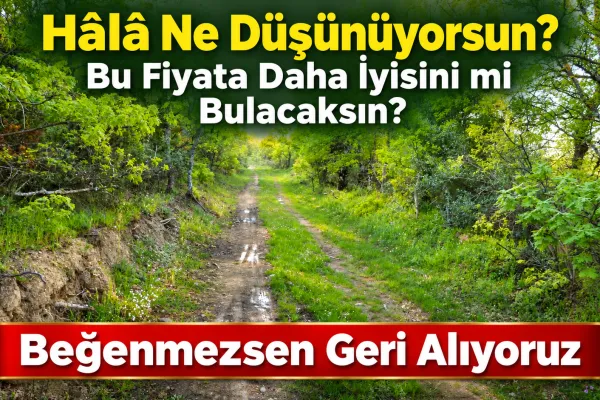 Fotoğraf 31
