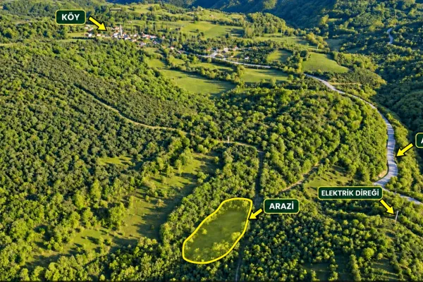 Fotoğraf 34