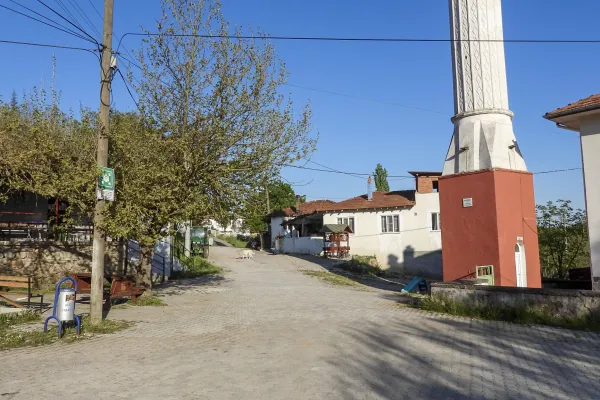 Fotoğraf 41