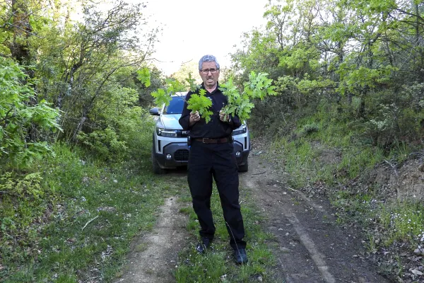 Fotoğraf 42