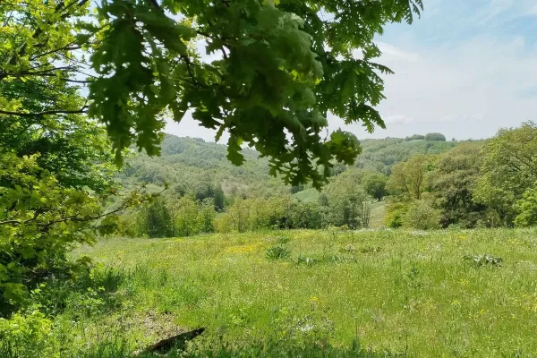 Fotoğraf 21