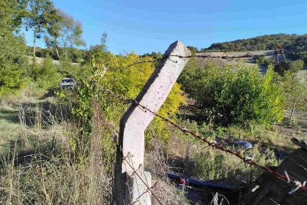 Fotoğraf 37