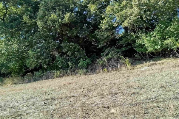 Fotoğraf 23