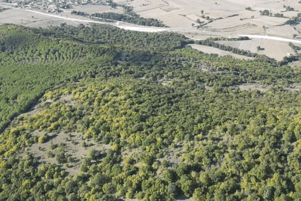 Fotoğraf 26