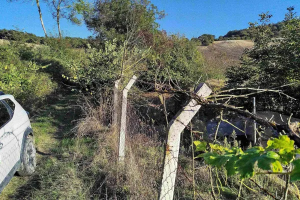 Fotoğraf 16