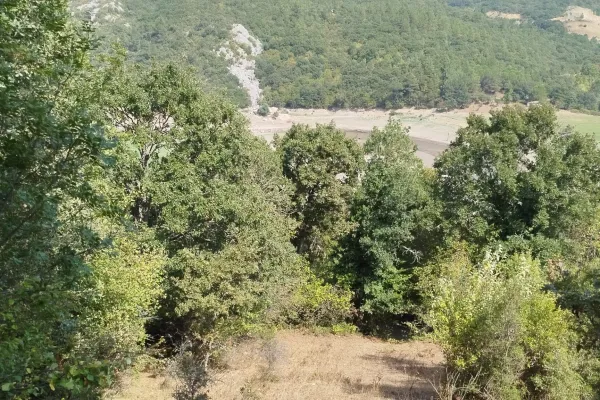 Keşif Arazi 1.840 m2 tarla Balıkesir Balya Semizköy 0-704