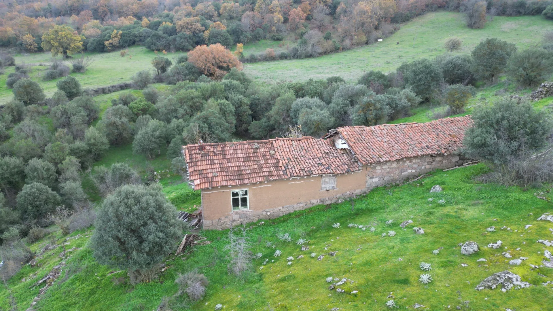 Takasa Açık Çiftlik Evi ve Tarla 15.700 m2 Balıkesir Balyada Keşif Arazi Emlak