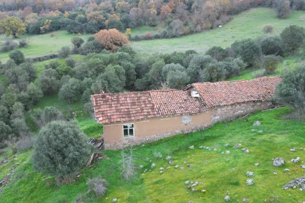 Takasa Açık Çiftlik Evi ve Tarla 15.700 m2 Balıkesir Balyada Keşif Arazi Emlak