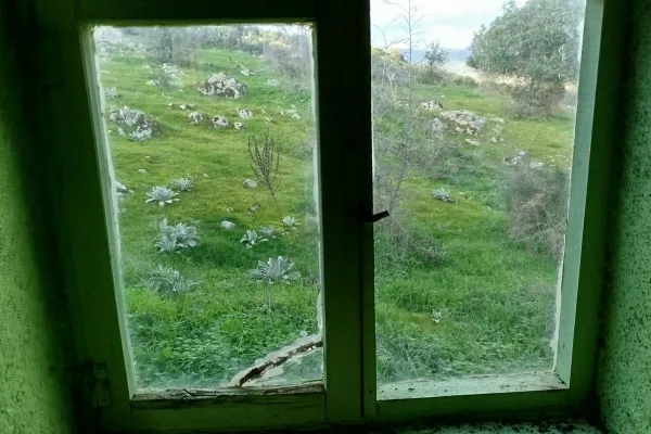 Fotoğraf 11
