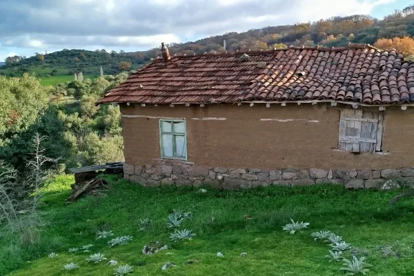 Fotoğraf 12