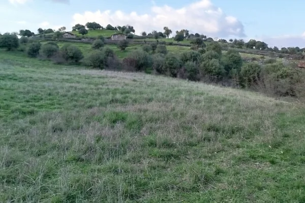 Fotoğraf 13