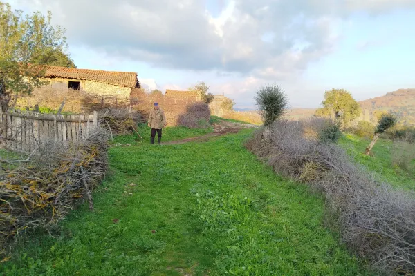Fotoğraf 14