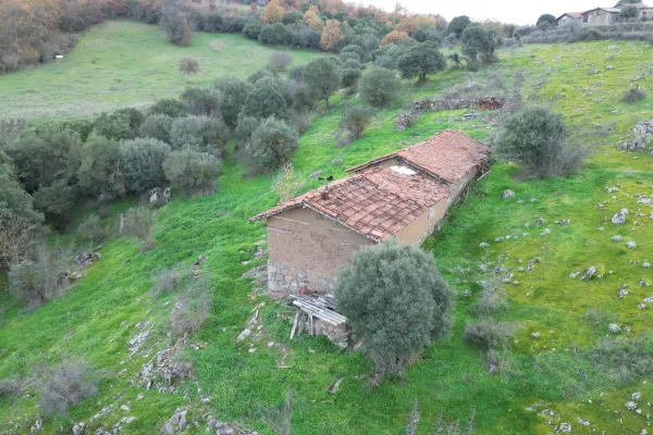 Fotoğraf 17