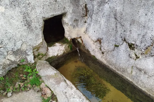 Fotoğraf 21