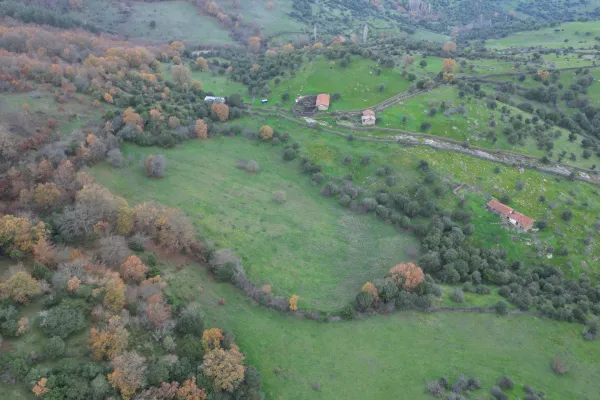 Fotoğraf 24