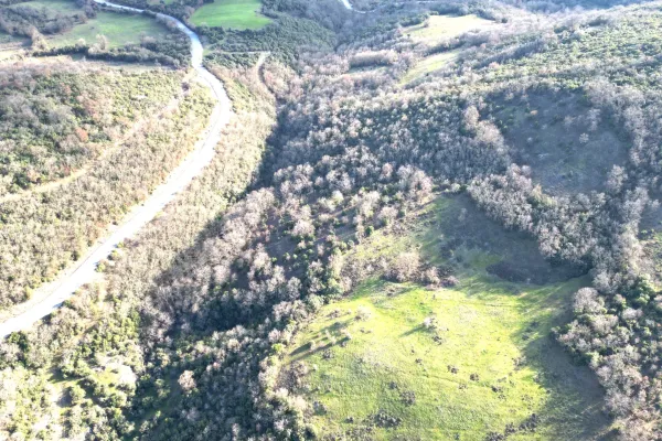 Fotoğraf 13