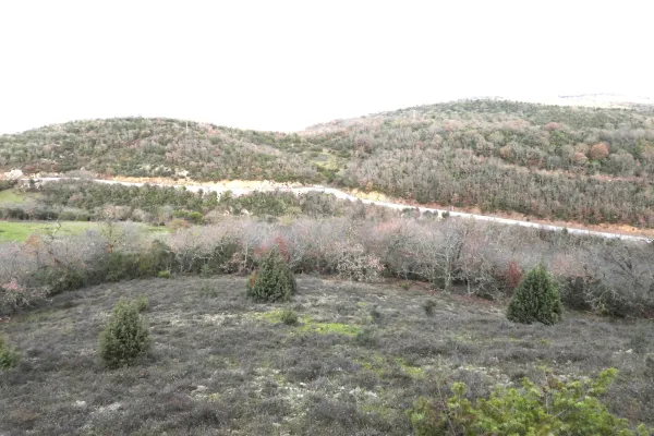 Fotoğraf 14