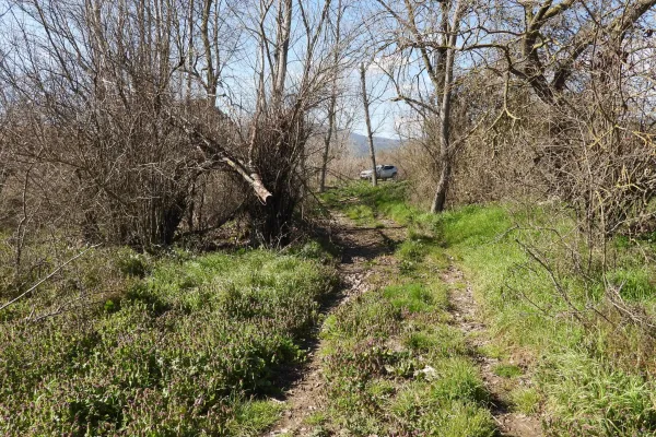 Fotoğraf 13