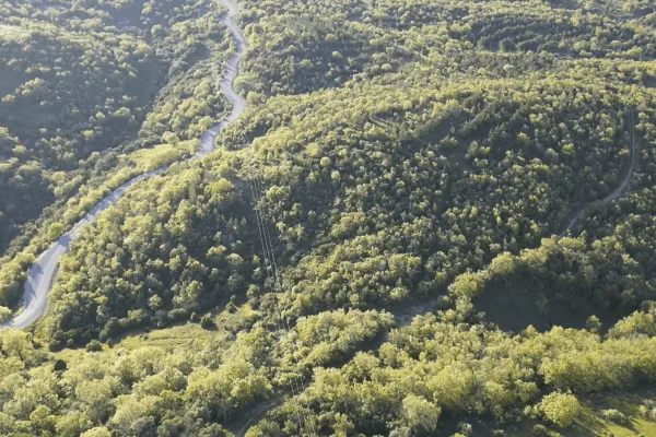 Fotoğraf 17
