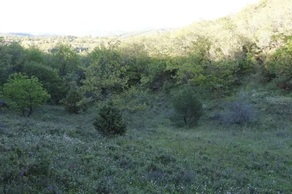 Fotoğraf 18