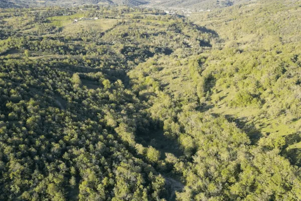 Fotoğraf 19