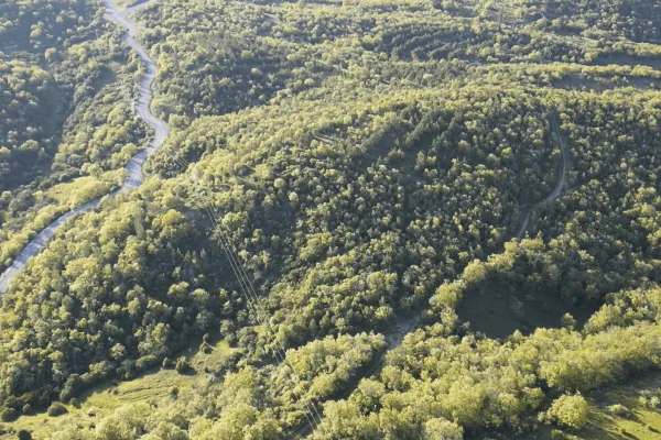 Fotoğraf 21