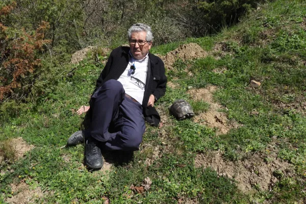 Fotoğraf 8