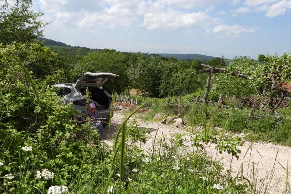 Fotoğraf 6