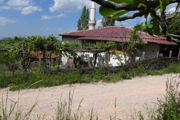 Fotoğraf 7