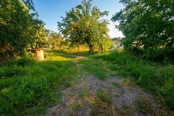 Fotoğraf 13
