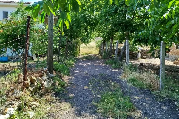 Fotoğraf 15