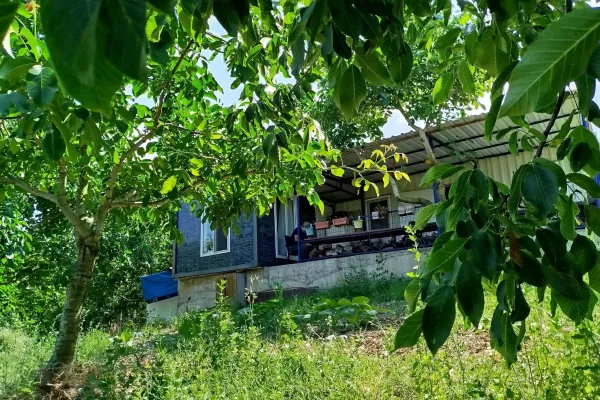 Fotoğraf 18