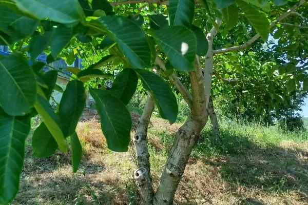 Fotoğraf 22