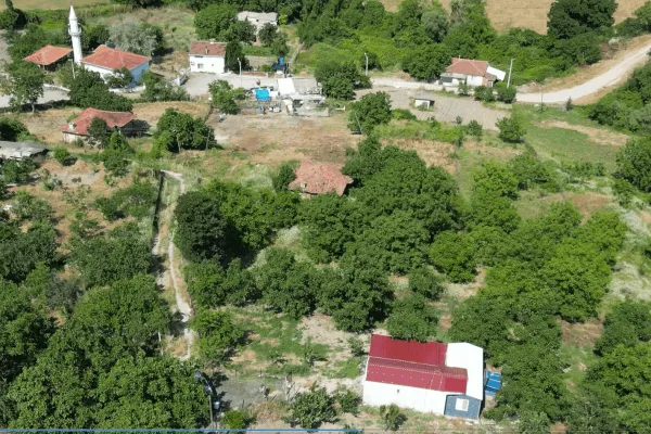 Fotoğraf 10