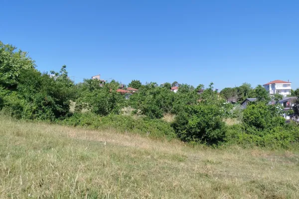 Fotoğraf 13