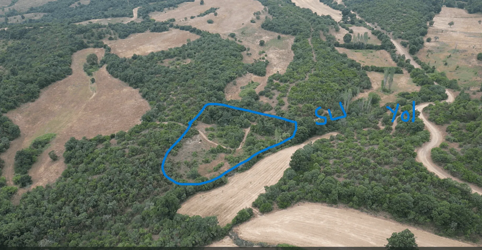 3.068 m2 Orman İçi Satılık Tarla. Balıkesir Balya.