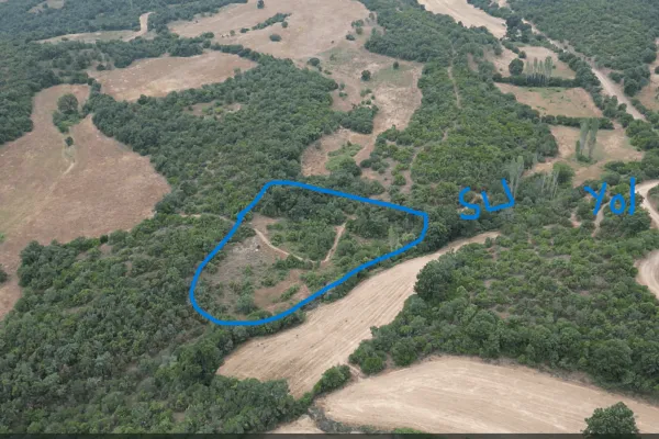 3.068 m2 Orman İçi Satılık Tarla. Balıkesir Balya.