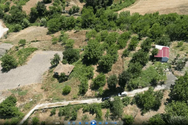 Fotoğraf 11