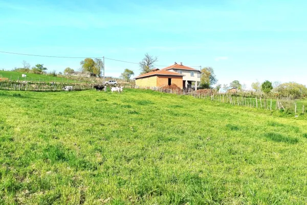 Fotoğraf 19