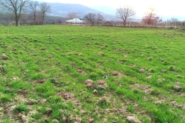 Fotoğraf 29