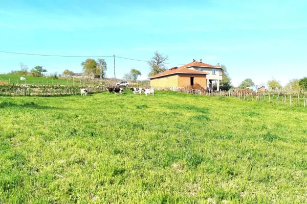 Fotoğraf 15