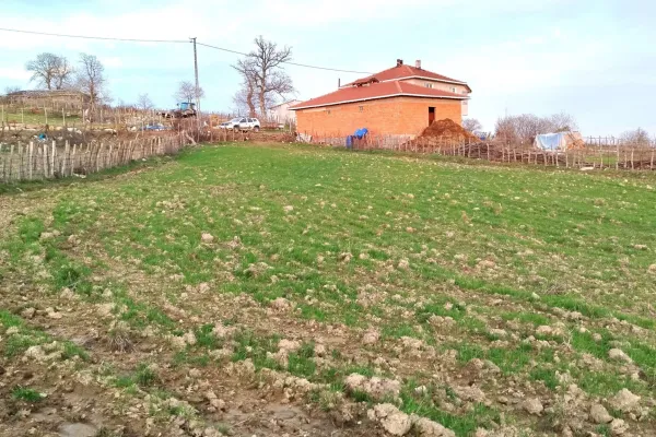 Fotoğraf 22