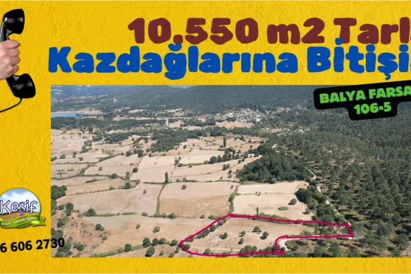 10.550 m2 Resmi Yola Cephe Satılık Tarla. Balıkesir Balya Farsak 106 ada 5 parselde. ahmet aras 0532 063 0758