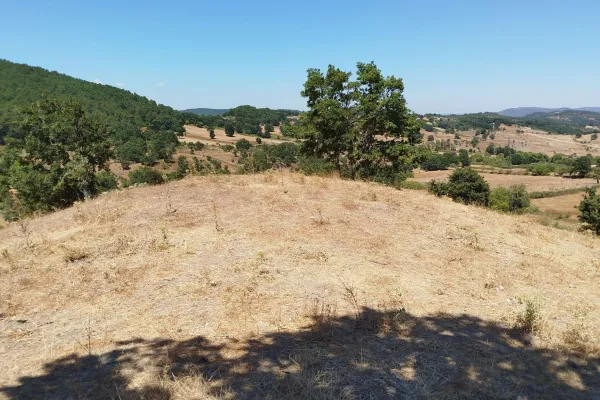 Fotoğraf 12
