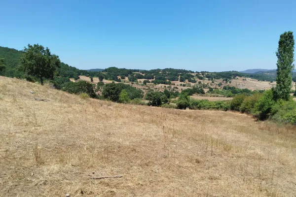 Fotoğraf 16