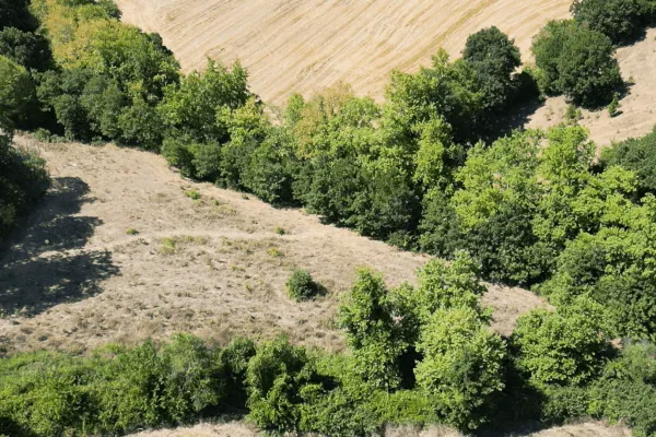 7.300 m2 Bol Suyu Olan Satılık Tarla. Balıkesir Gönen Ömerler Köyü 105 ada 1 parsel. hakan köse 0551 173 6628